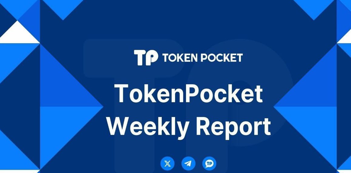 tpwallet钱包官网下载 浙江兆丰机电股份有限公司财报解读：营收净利双降，现金流与研发投入现显著变化